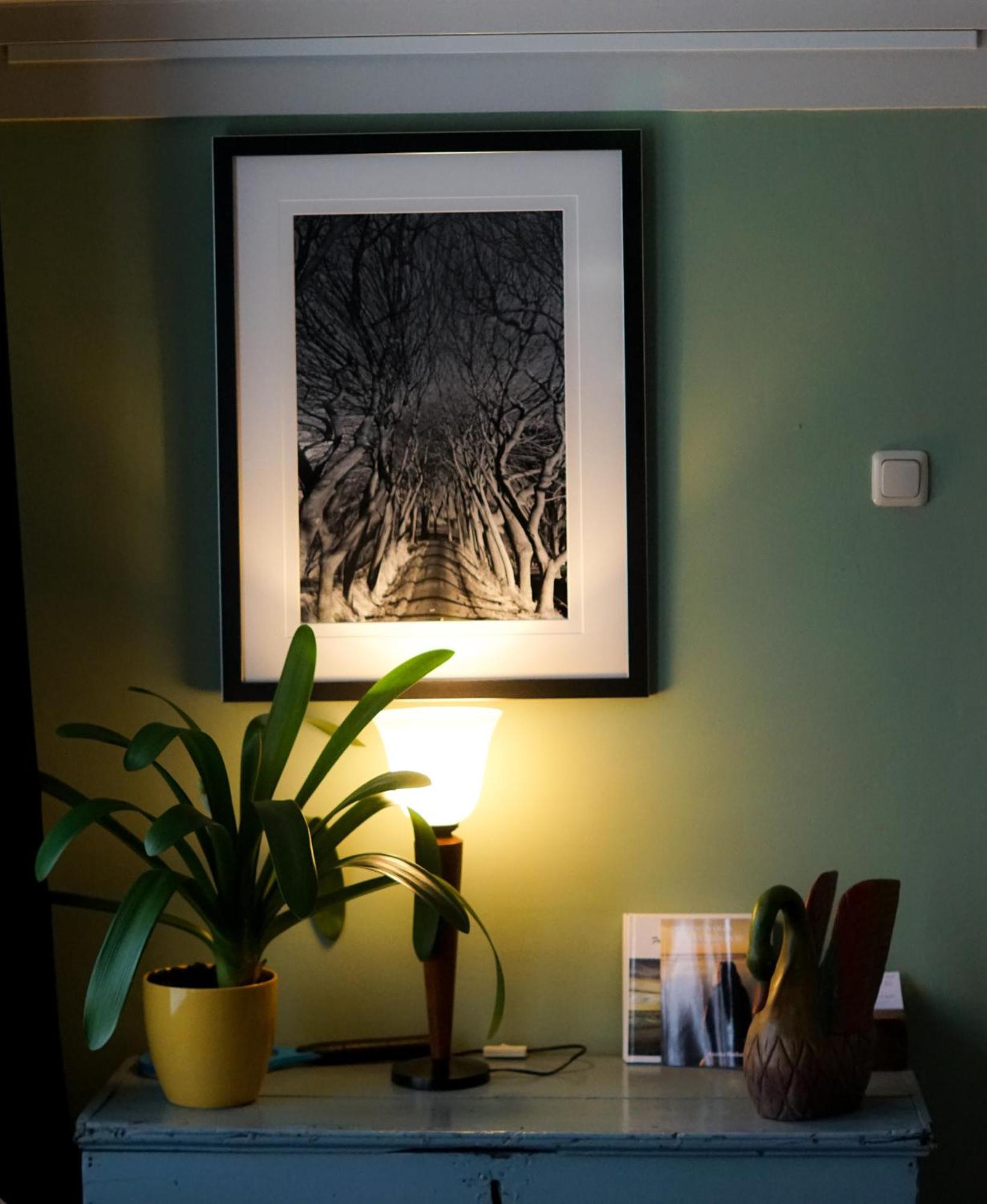 Oosternijkerk The Wee White Hoose B&B 외부 사진