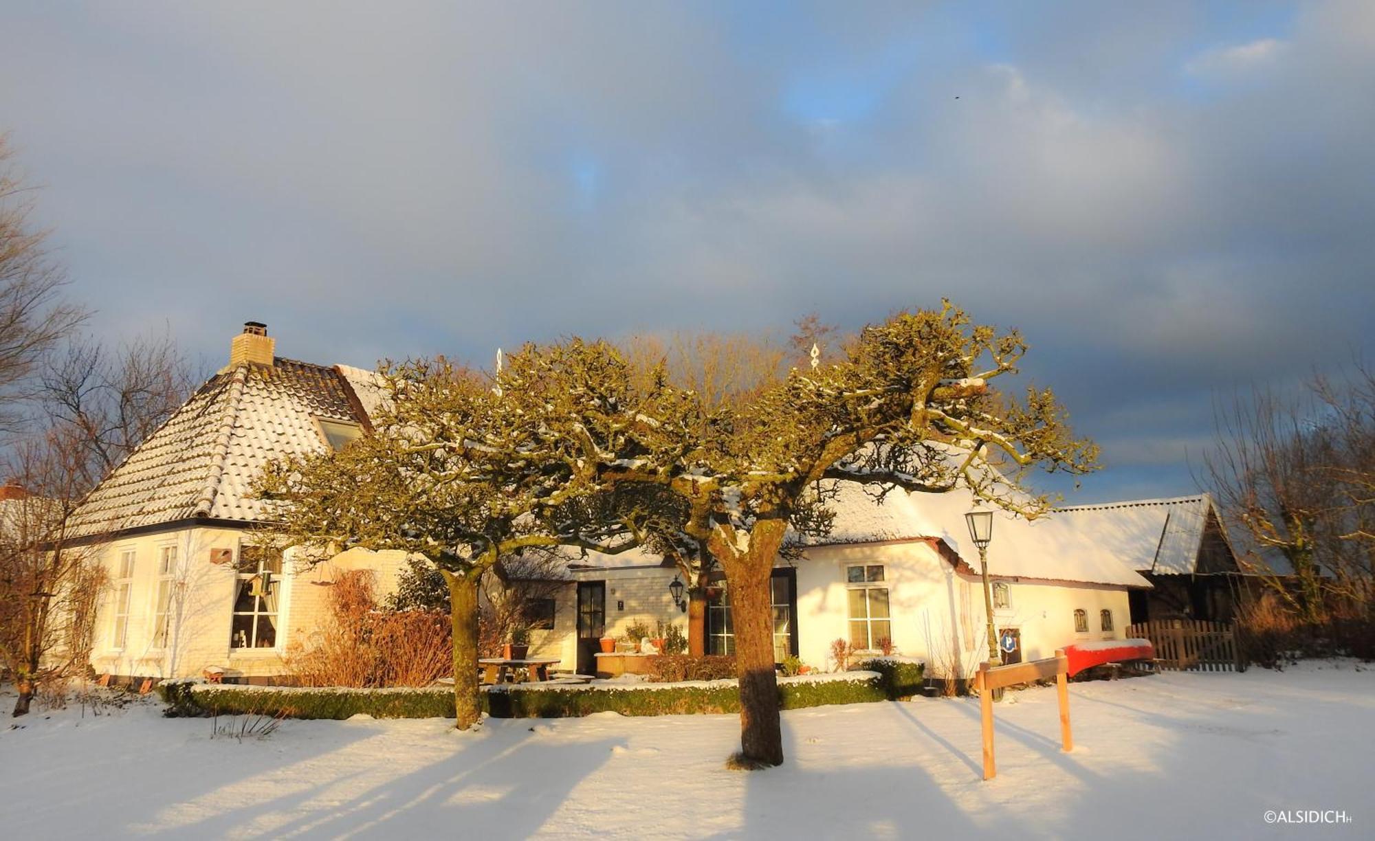 Oosternijkerk The Wee White Hoose B&B 외부 사진